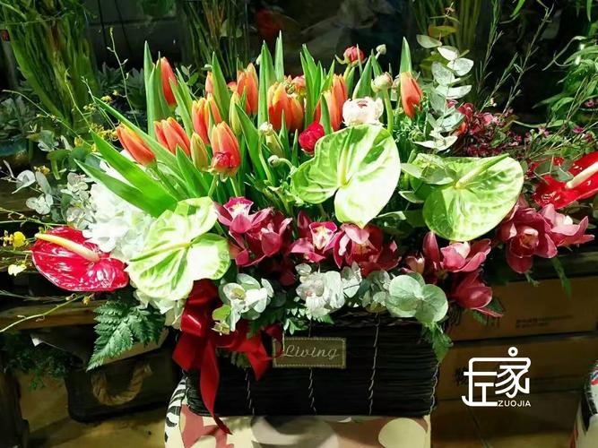 公司搬家送什么花，公司搬家送什么花比较好