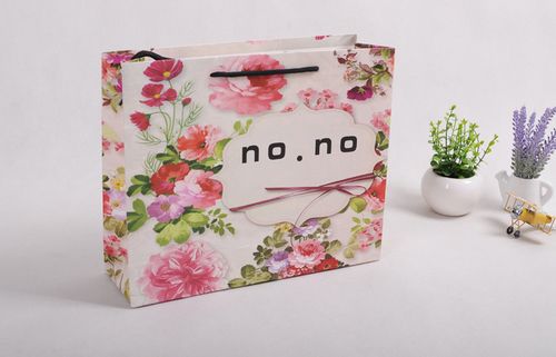 礼品制作公司文件袋,公司礼品袋设计,艺术成长袋怎么做?