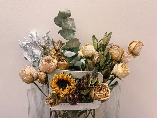 送闺蜜送什么干花好,送闺蜜什么干花比较好