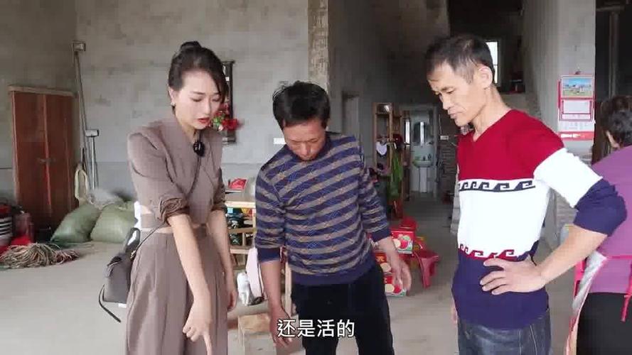 表嫂生孩子了送什么的简单介绍
