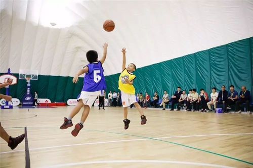 小孩子学篮球送什么,小孩子学篮球选室内还是室外