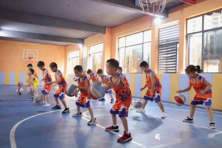 小孩子学篮球送什么,小孩子学篮球选室内还是室外