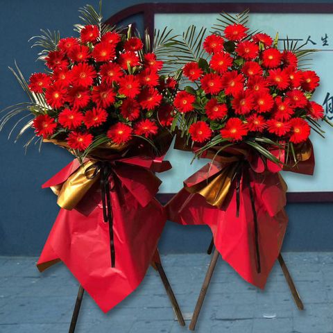 祝贺公司乔迁送什么,祝贺乔迁送什么花