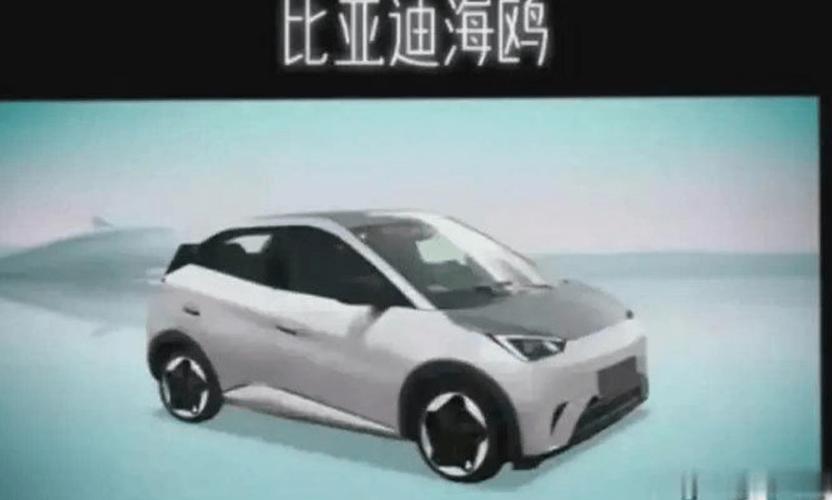 个性化礼品送客户,,比亚迪海鸥盲订送什么?