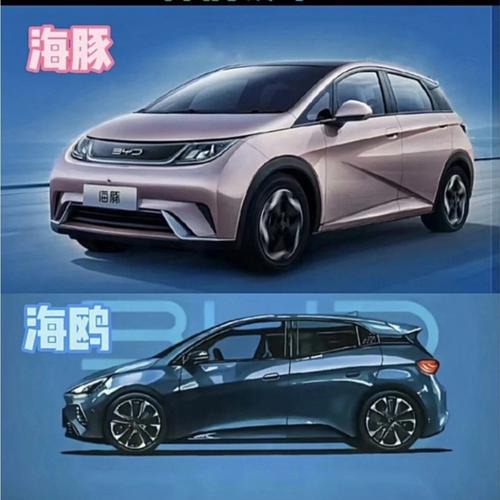 个性化礼品送客户,,比亚迪海鸥盲订送什么?