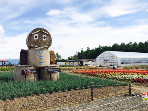北海道礼品,北海道礼物,去日本札幌旅游买什么东西送给朋友既有意义又不贵?