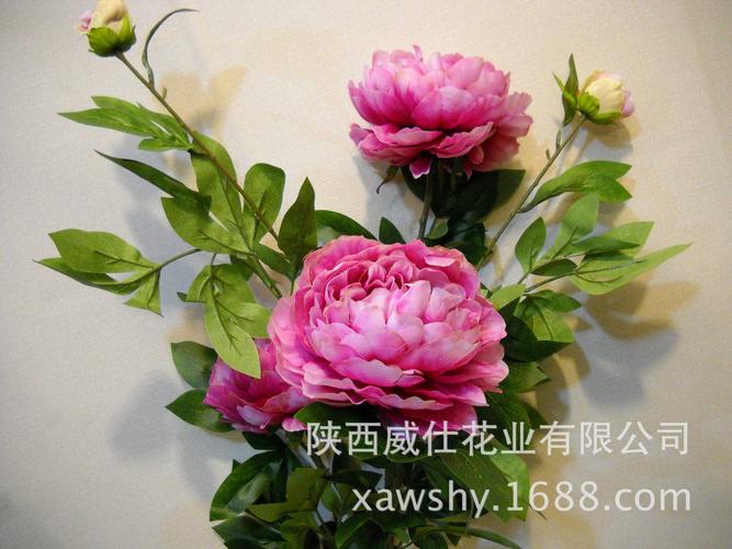 与牡丹有关的礼品,与牡丹有关的礼品有哪些,nds风之集市送给秋牡丹什么礼物?