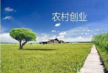 礼品代理面临的创业环境,,乡村服务创业项目?