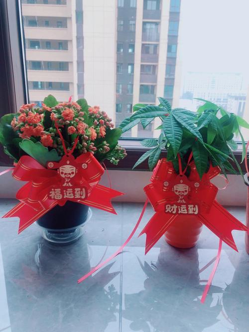 客户搬家送什么礼物,客户搬家送什么绿植好