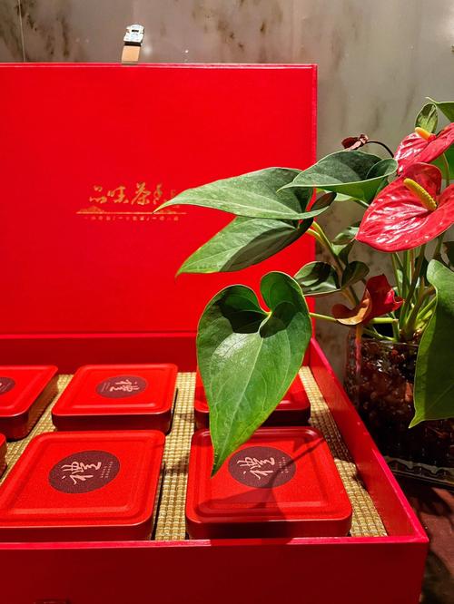 公司选茶礼,企业茶礼,领导送什么茶叶好?