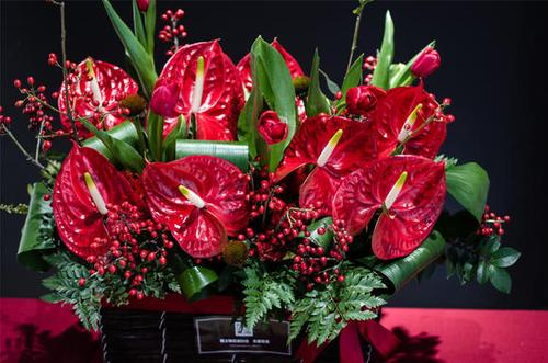 春节送女客户什么好,春节送什么花