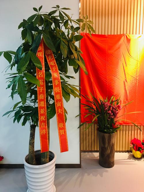 重要客户搬家送什么,客户搬家送什么绿植好