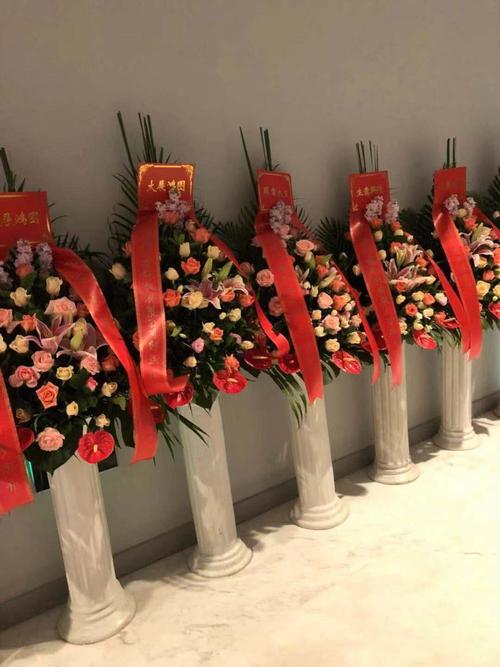同学公司开业送什么植物,朋友公司开业送什么花篮
