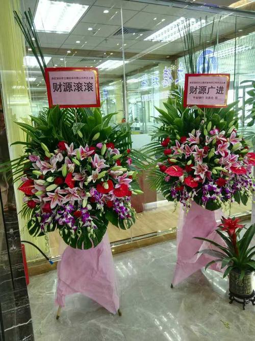 同学公司开业送什么植物,朋友公司开业送什么花篮