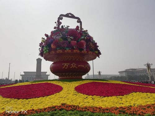 国庆送什么给女孩子比较好,送女孩子什么花比较好