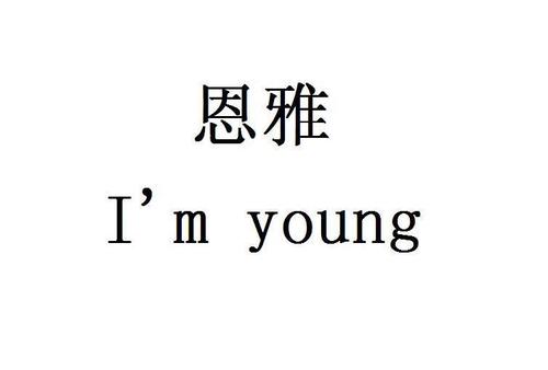上海恩雅礼品有限公司,上海恩雅服饰有限公司,恩雅是杂牌吗?