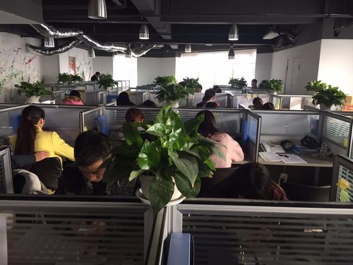 礼品公司销售助理,礼品公司销售助理招聘,快手直播助理是干什么的?