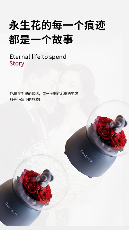 礼品公司新颖概况,礼品公司新颖概况怎么写,beslove牌子怎么样?