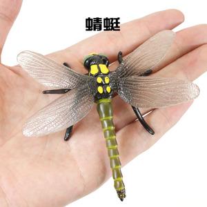 喜欢昆虫的孩子送什么礼物,喜欢昆虫的人