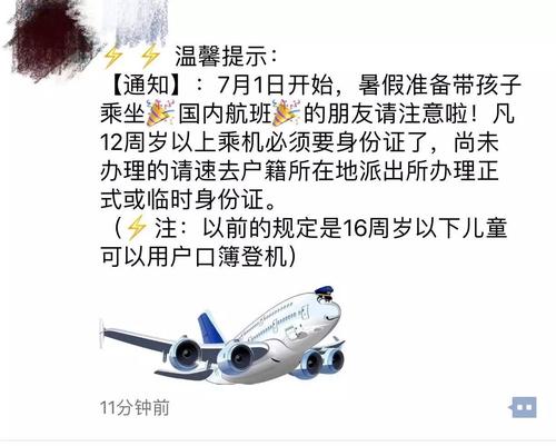 12周岁孩子过生日送什么,12周岁的孩子坐飞机怎么收费