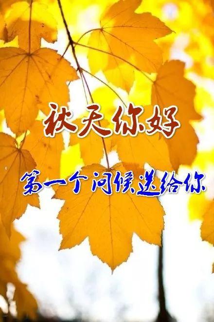 秋天送客户什么,秋天送给客户温馨问候
