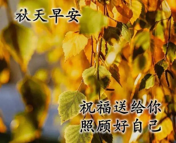 秋天送客户什么,秋天送给客户温馨问候