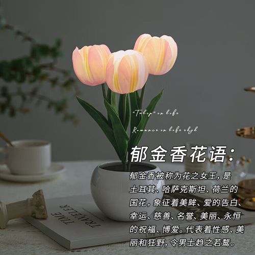 送闺蜜台灯代表什么意思,送闺蜜郁金香代表什么