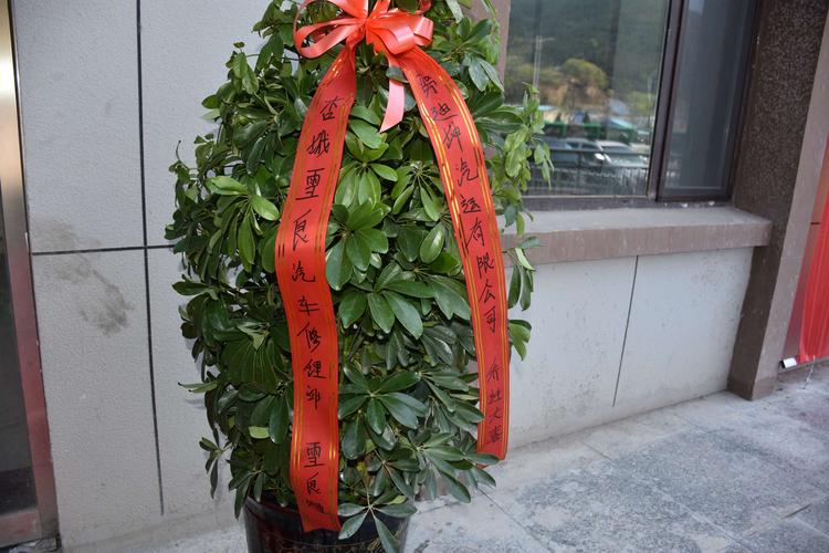公司乔迁之喜送啥,公司乔迁之喜送啥绿植好,下属乔迁之喜送什么?