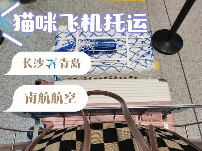 纪念下航空公司送的礼物,,南航赠送的大兴机场轻轨券怎么用?