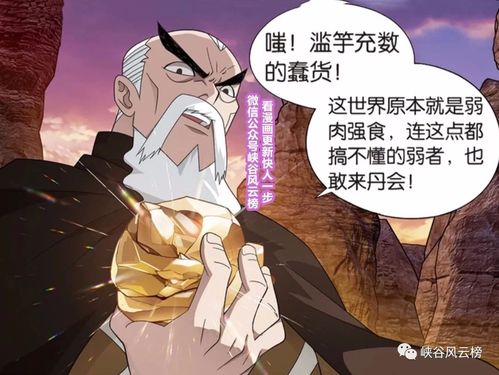?公司送什?N?物好,,斗破苍穹无上之境三奇物排名?