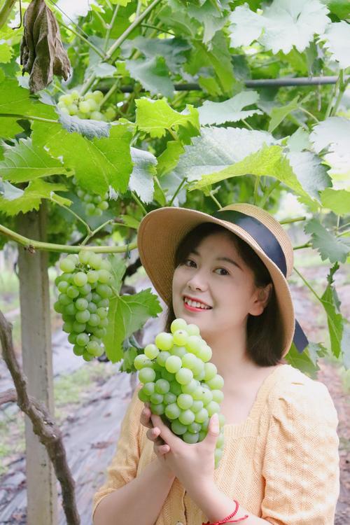 闺蜜送葡萄,闺蜜送葡萄发说说,来闺蜜家吃她自己种的水果文案?