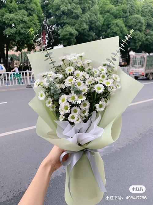 雏菊送闺蜜,雏菊送闺蜜合适吗,护士节送什么花给闺蜜?
