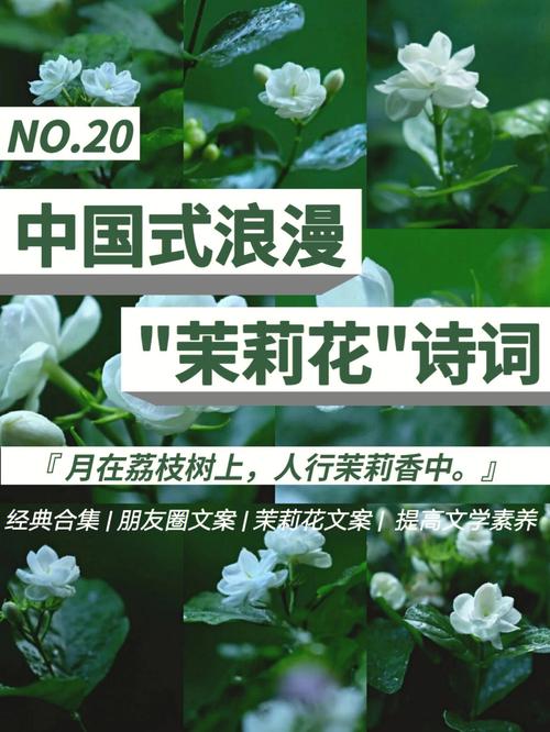 闺蜜送了手链，闺蜜送了手链怎么发朋友圈，闺蜜送茉莉花手串的文案？