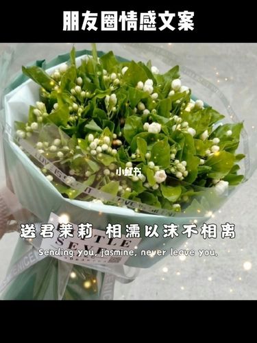 闺蜜送了手链，闺蜜送了手链怎么发朋友圈，闺蜜送茉莉花手串的文案？