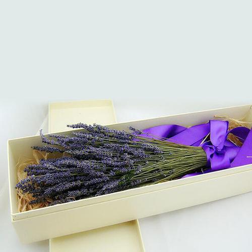 送闺蜜薰衣草,送闺蜜薰衣草的寓意,送闺蜜花可送什么?