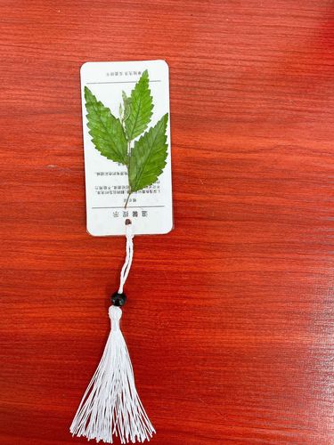 送闺蜜的书签,送闺蜜的书签怎么做?,立秋给闺蜜送啥?