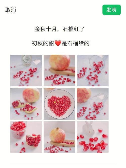 闺蜜送的石榴,闺蜜送的石榴手链文案,闺蜜送的石榴