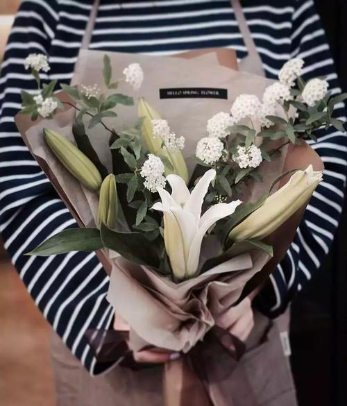 女性客户送什么植被好,女客户送什么花合适