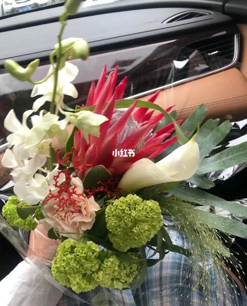 女性客户送什么植被好,女客户送什么花合适