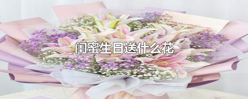 闺蜜过生日送截止可以吗,闺蜜过生日可以发红包吗,闺蜜高考结束送什么花?