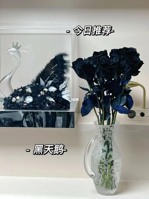 黑天鹅送女孩子的意义,,黑天鹅植物花语?