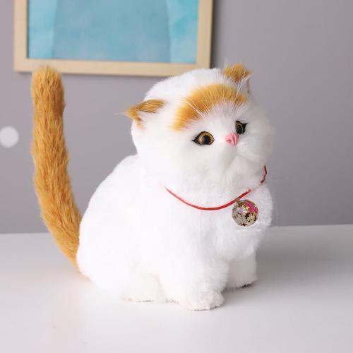女孩子送猫咪当礼物合适吗,女孩子送猫咪当礼物合适吗知乎,为什么送猫要包个红包?
