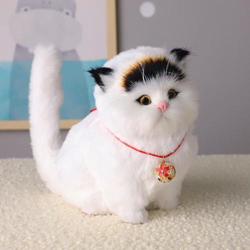 女孩子送猫咪当礼物合适吗,女孩子送猫咪当礼物合适吗知乎,为什么送猫要包个红包?