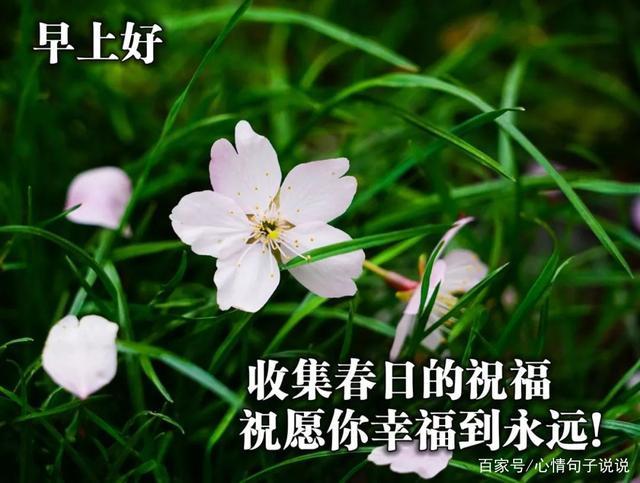 春季客户礼品，，春天给客户的问候语？