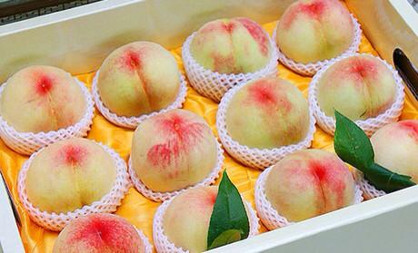 夏季可以送客户的礼品,夏天送什么水果给客户最好,给客户送水蜜桃的话术?