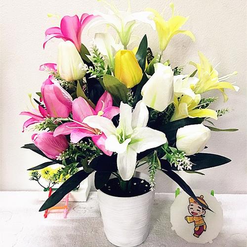 老婆生日送百合花,老婆生日送百合花好吗,过生日可以送郁金香么?