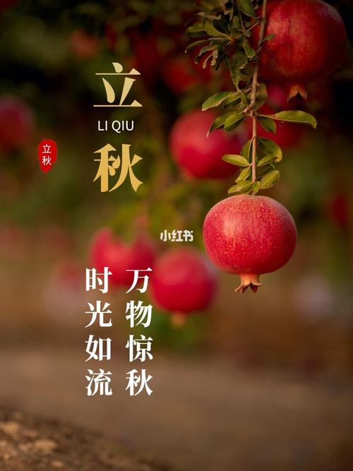 秋天适合给老婆的礼物,秋天适合给老婆的礼物有哪些,立秋给喜欢的女孩子送什么?