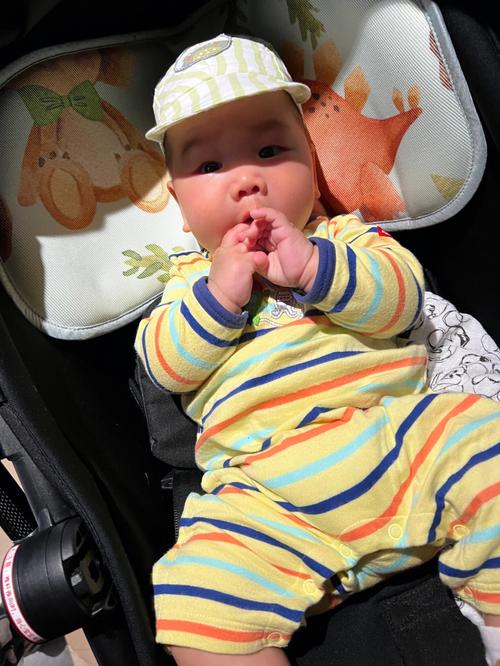 老婆带6个娃送惊喜,,老婆带6个娃送惊喜