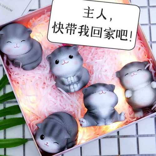 七夕节送老婆猫可以吗,,七夕给独居男朋友送什么?