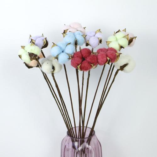 送老师干花送哪种,送老师干花送哪种花好,干棉花插花什么寓意?